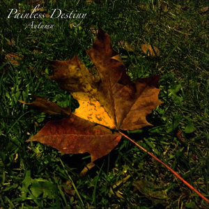 国产老头与老妇做爰视频
